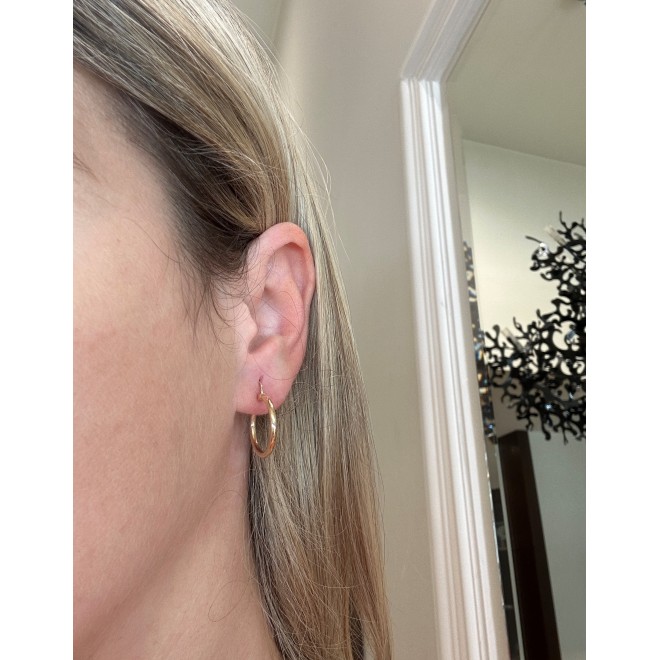 Earrings hoops