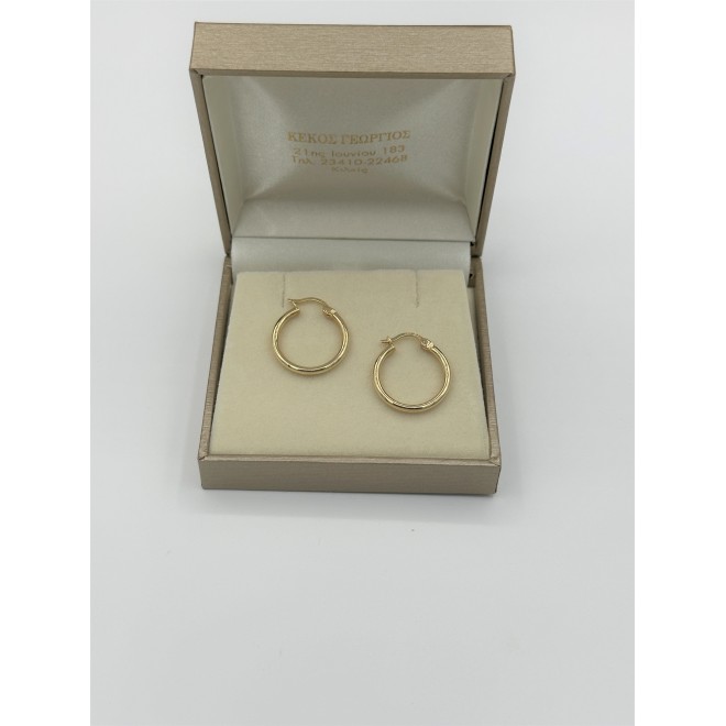 Earrings hoops