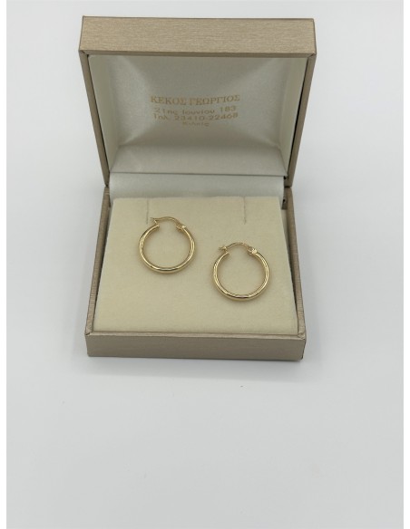 Earrings hoops