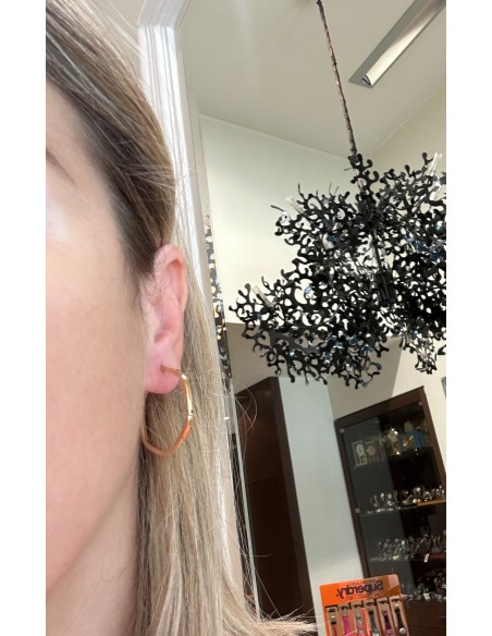 Earrings hoops