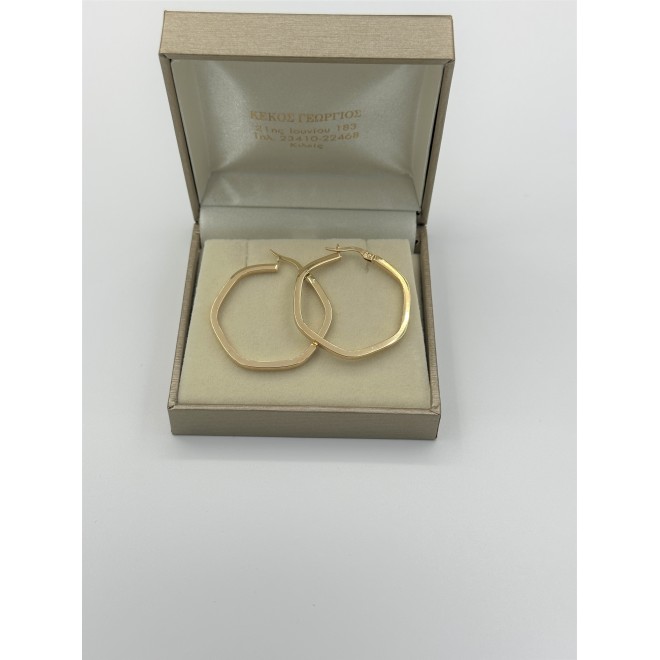 Earrings hoops