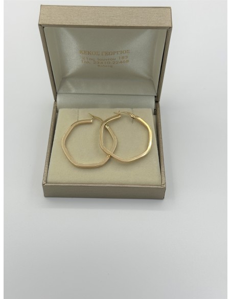 Earrings hoops