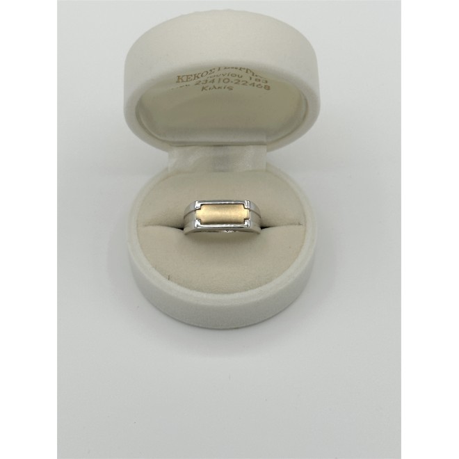 Men's ring