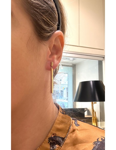 Pendant Earrings