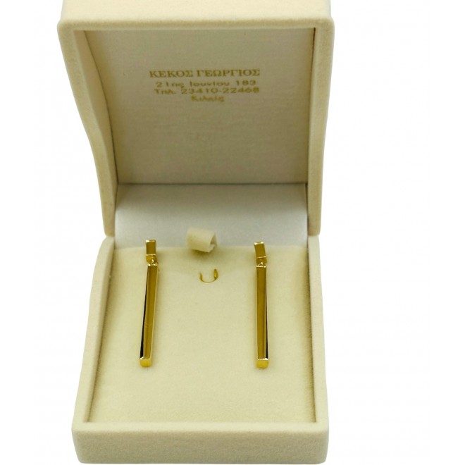 Pendant Earrings