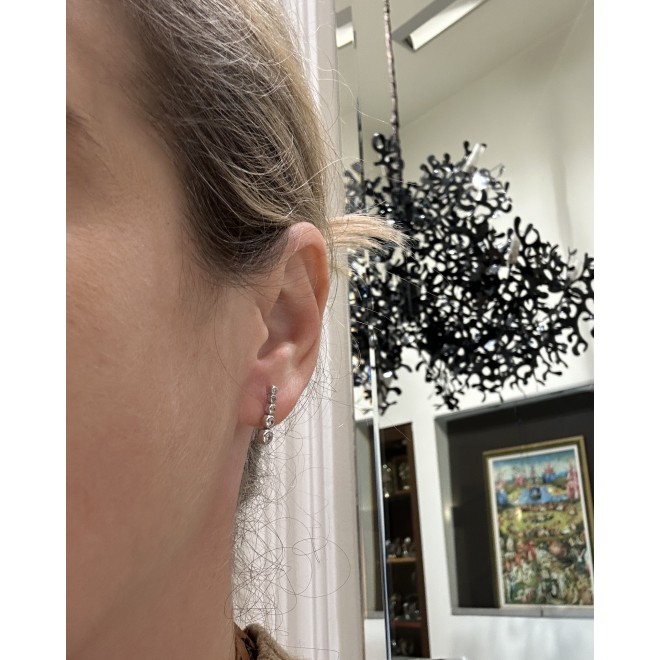 Women's earrings