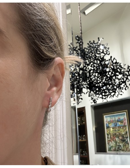Women's earrings