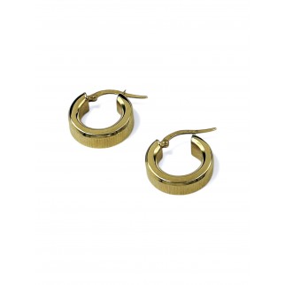 Earrings hoops