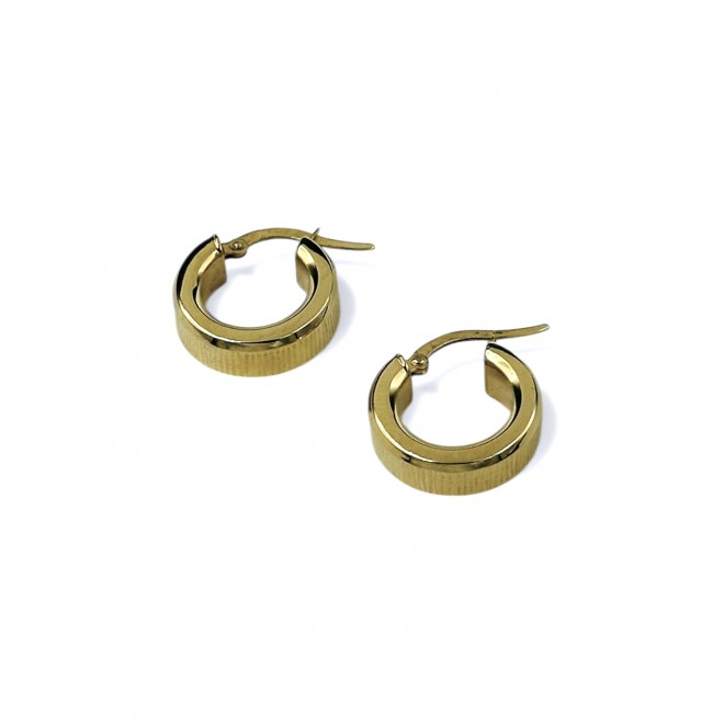 Earrings hoops