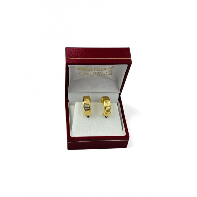 Earrings hoops